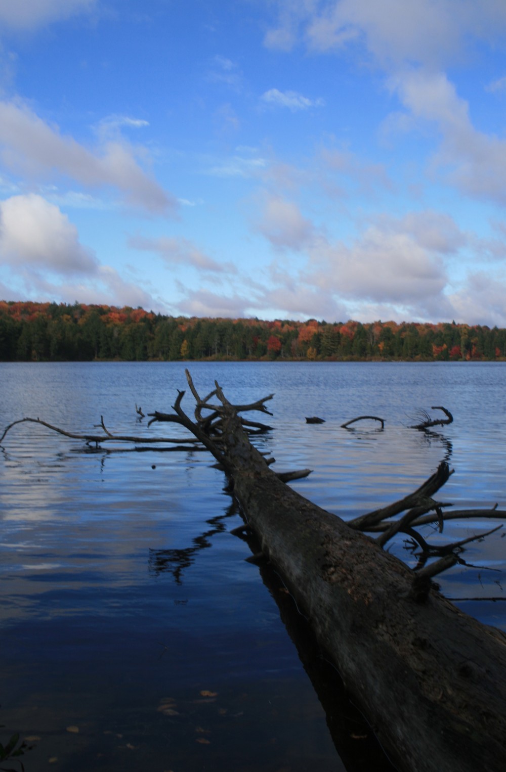 Nicks Lake